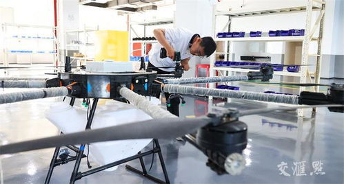 低空出行新纪元 1600元起让普通人也能打“飞的”