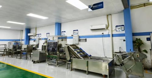 技术赋能，智造未来——广东省农装院引领水产养殖与加工新趋势